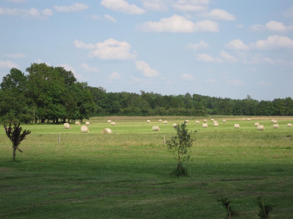 Вилла La Petite Grange Lorignac Номер фото